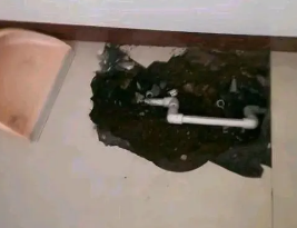 邯郸市卫生间测漏水多少钱